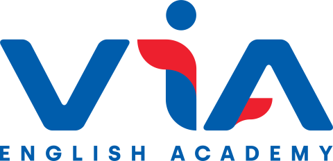 Via Academy logo